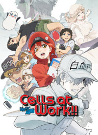 Khi Các Tế Bào Làm Việc (Phần 2) - Cells at Work! S2